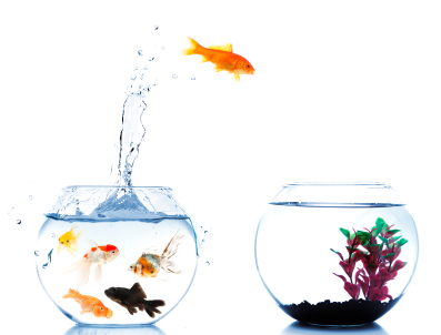 Tax Lien Investing